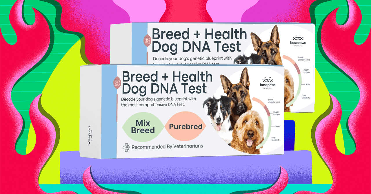 Basepaws Pet Test Kits Are Half Off Right Now (2025)